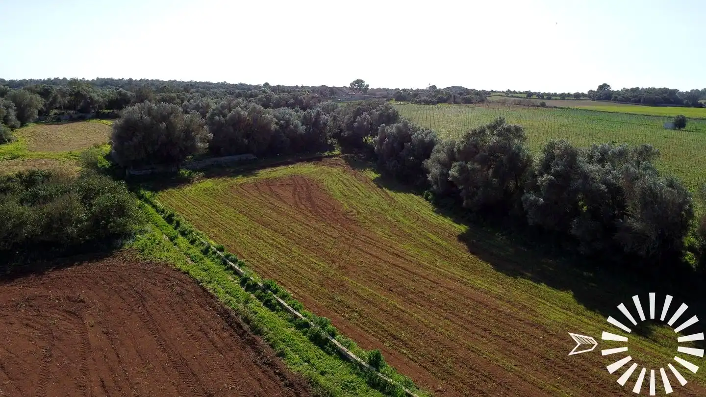 Terrain rustique à vendre à Cami de Son Pau, imagen 30