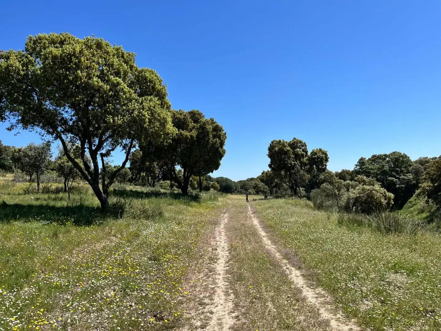 Casa o xalet en venda en Galapagar amb Aire condicionat, Jardí privat i Traster
