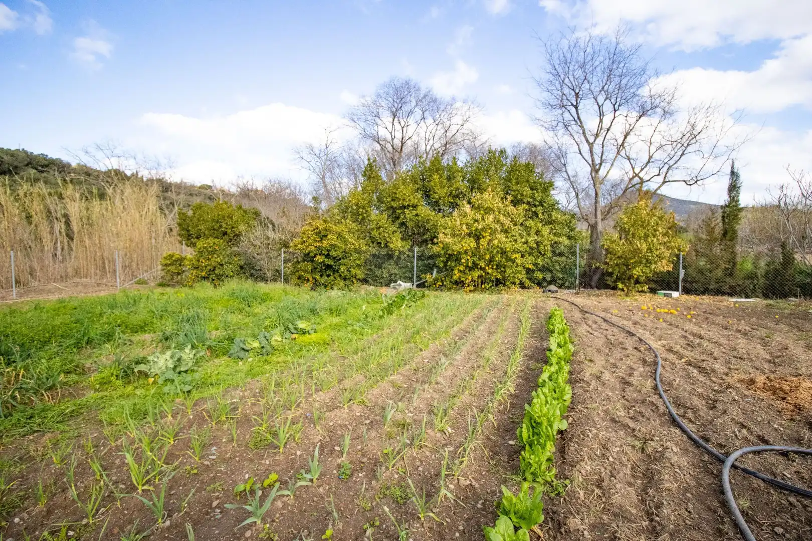 Terreno en venta en Sant Climent Sescebes