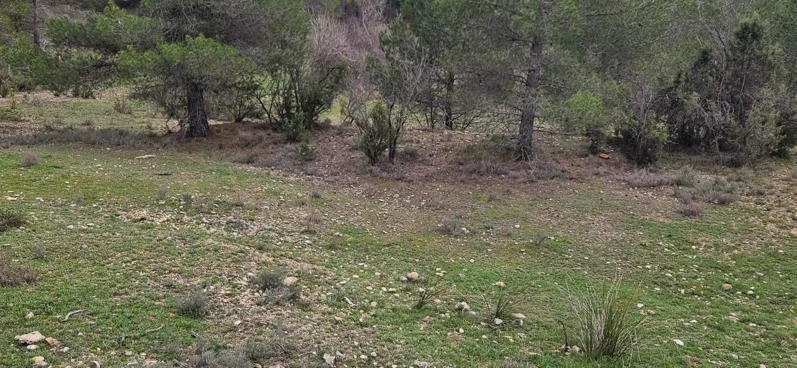 Terreno en venta en Las Parras de Castellote