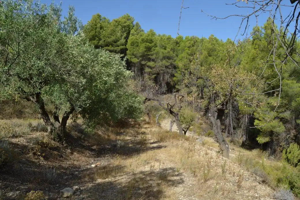 Terrenos y solares en venta en El Castell de Guadalest, imagen 3