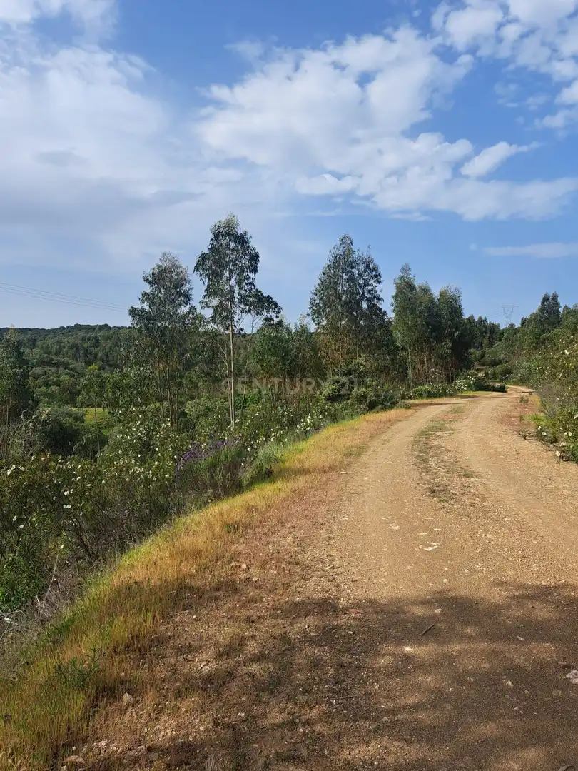 Terreno en venta en Herrera de Alcántara