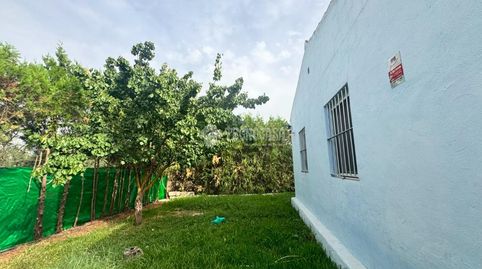 Casa rural en venta en Pilas, imagen 2