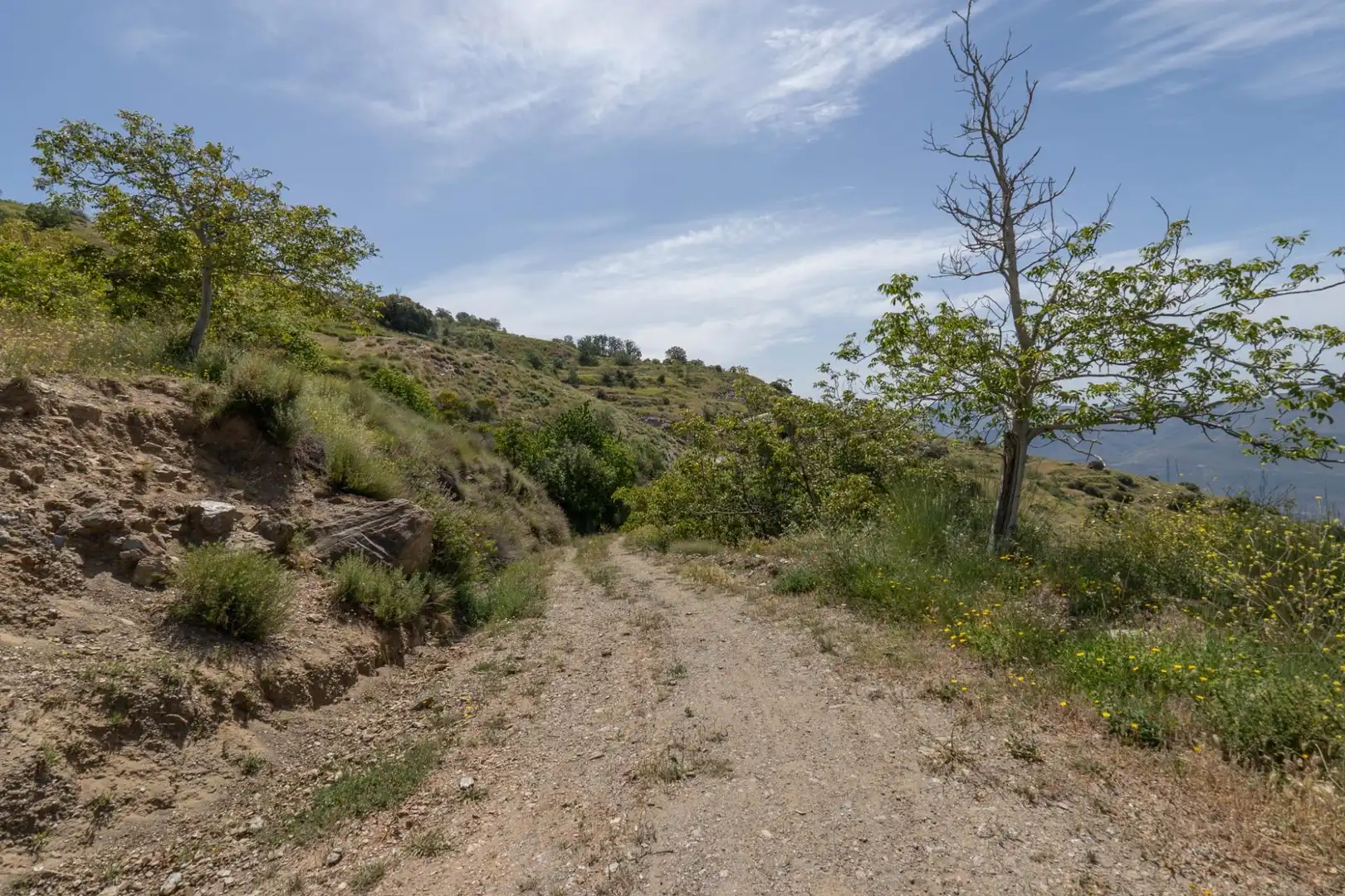 Terreno en venta en Soportújar