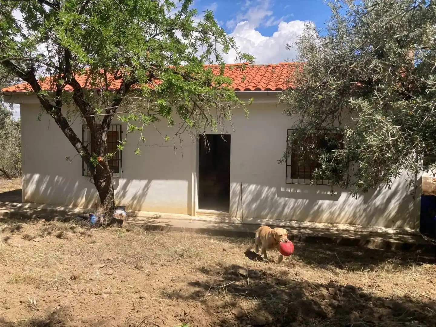 Vista exterior de Finca rústica en venda en Güéjar Sierra