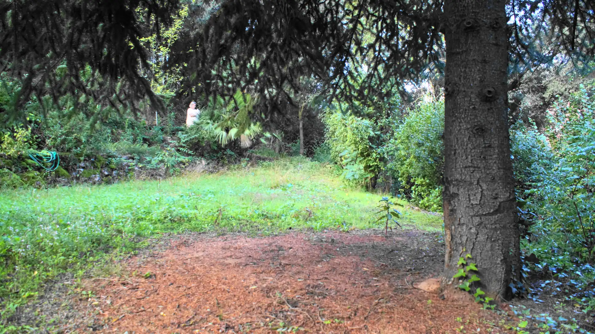 Casa rustica con giardino in vendita a L'Ametlla del Vallès, imagen 82