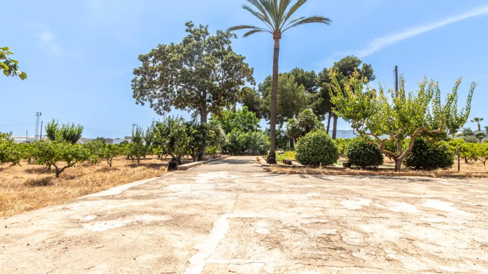 Jardí de Finca rústica en venda en Beniarbeig amb Jardí privat, Terrassa i Traster