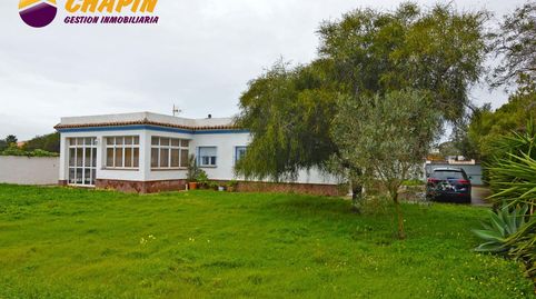 EL PALMAR 769.000, immagine 3