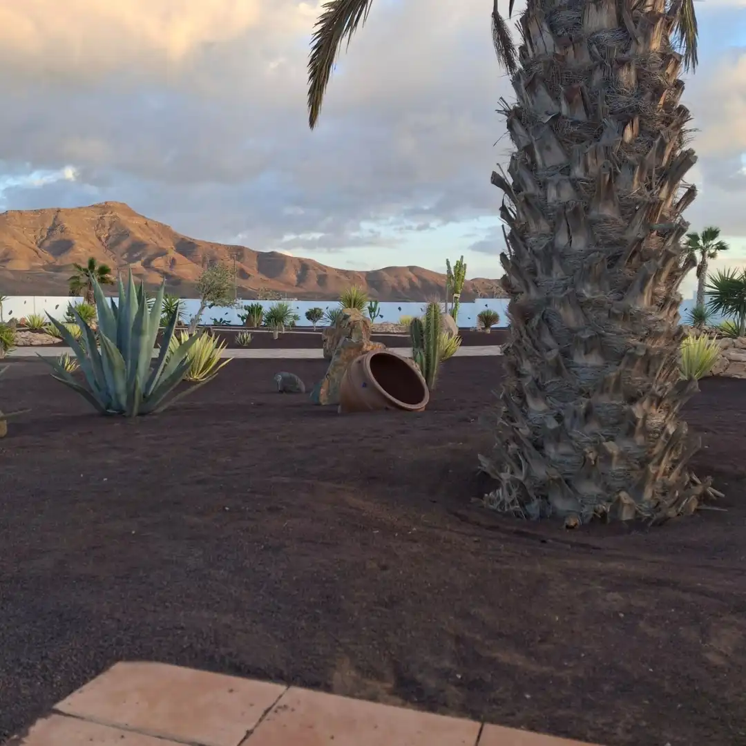 Jardín de Casa o chalet en venta en Tuineje con Jardín privado, Terraza y Trastero