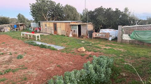 Foto 5 de Terreno en venta en Carretera Manacor-porto Cristo, Km 2., S'Illot - Cala Morlanda, Manacor