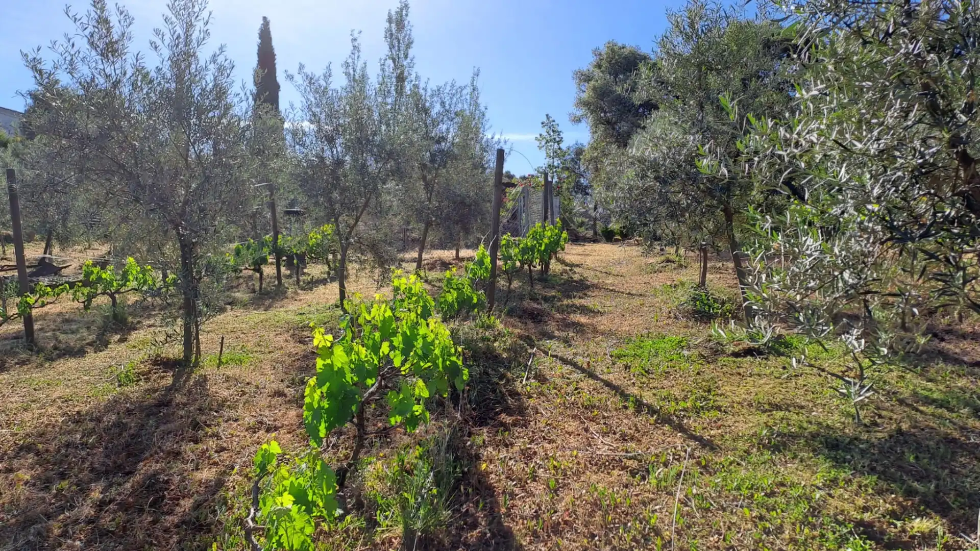 Country homes for sale in Santa Eufemia  with Furnished