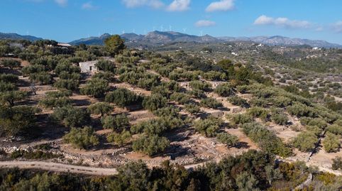 Finca rústica con casa de campo con excelentes vistas, imatge 3