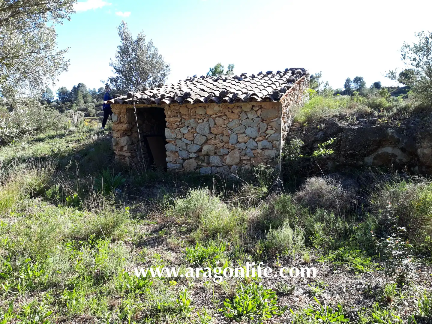 Rural land for sale in C-43, imagen 8