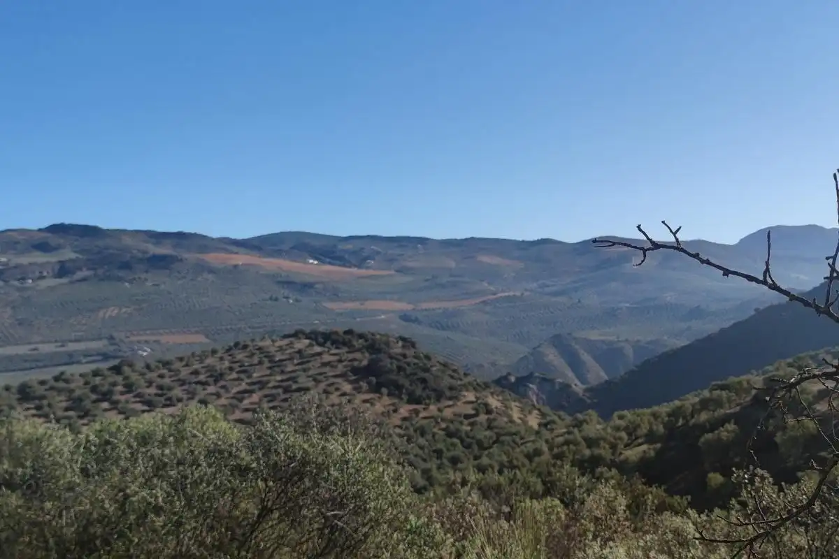 Terreny rústic en venda a CORTIJO DE MORA Y MARAÑON