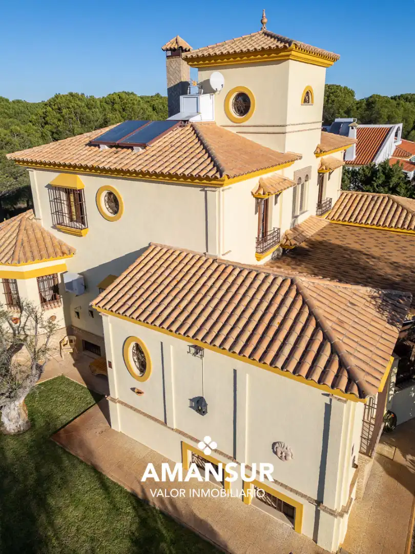 Chalet con piscina en venta en Avenida del Almendro, imagen 103