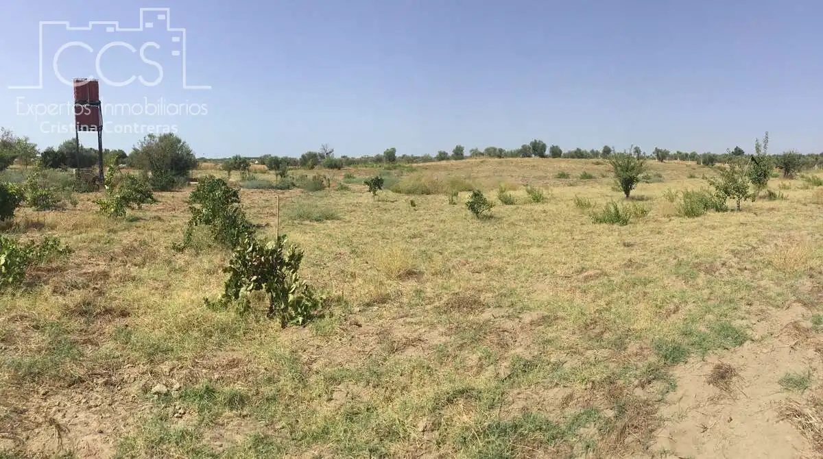 Terrain rustique à vendre à Almonte ciudad, imagen 19