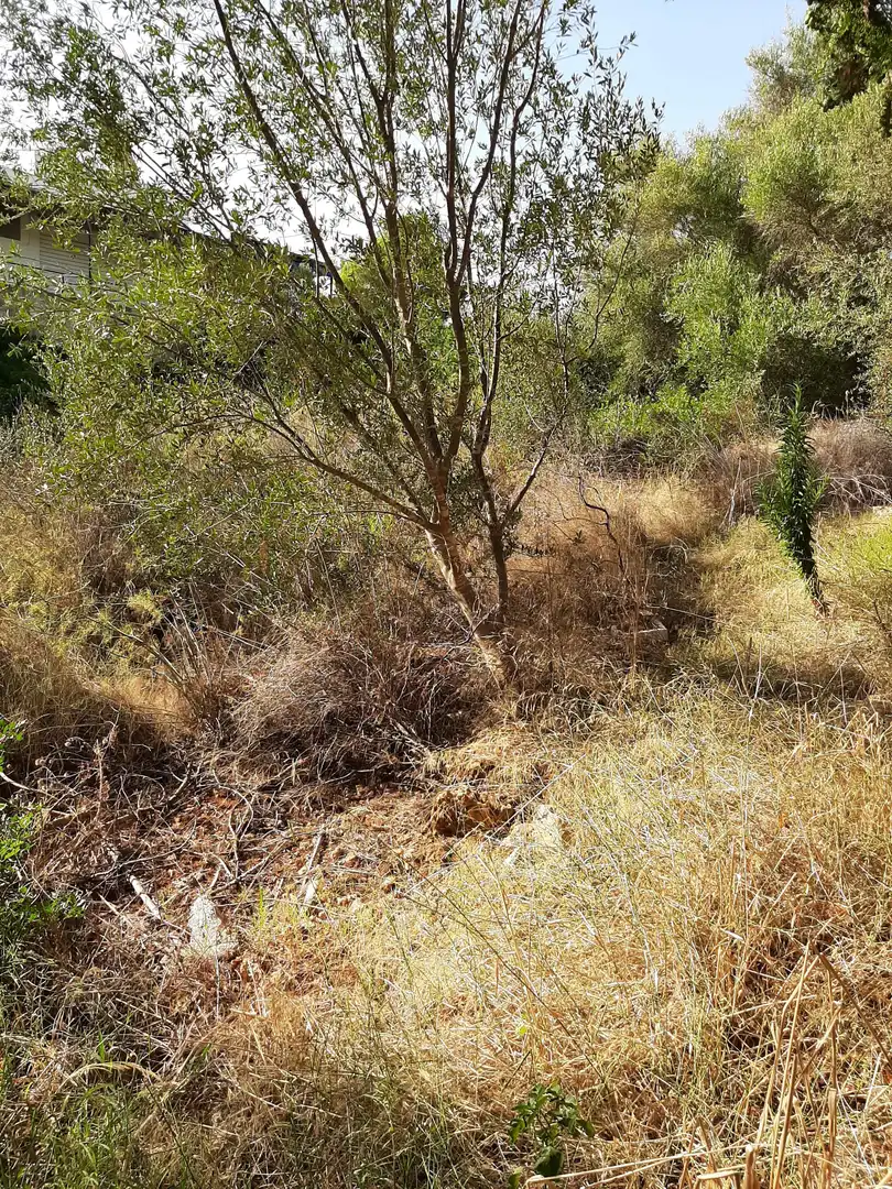 Residential land for sale in Carrer de la Punta Reina 57, imagen 10