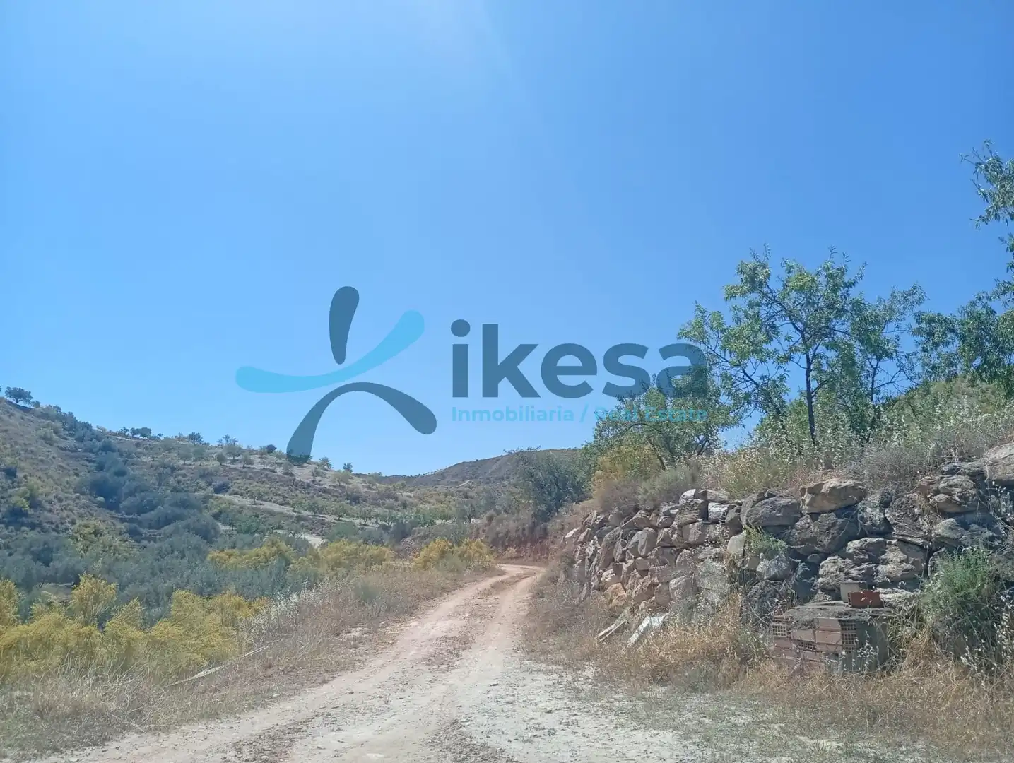 Lands and plots for sale in Cantoria, imagen 2