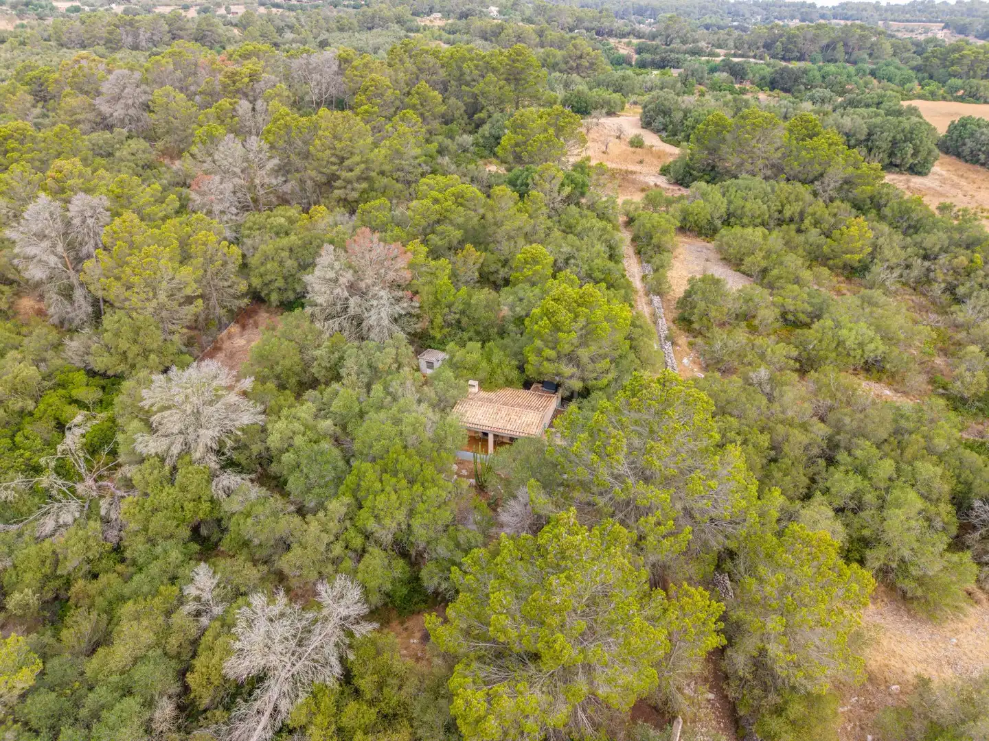 Finca rústica en venda en Petra amb Jardí privat, Terrassa i Traster
