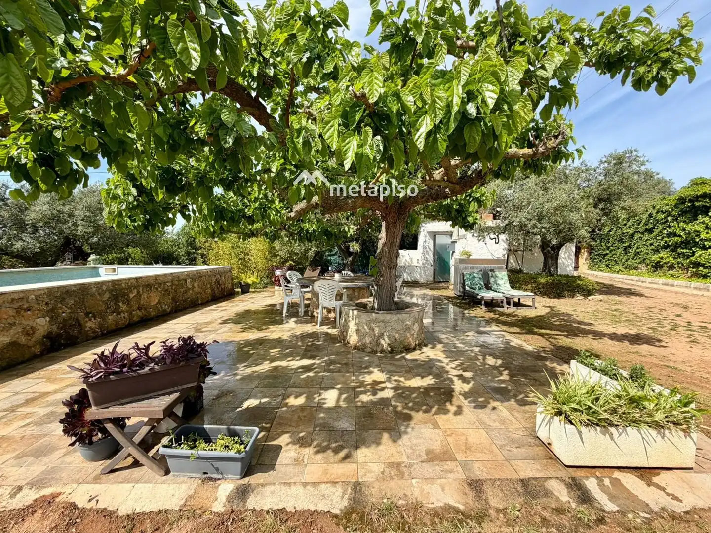 Terreno rustico in vendita a Santa Oliva, imagen 4