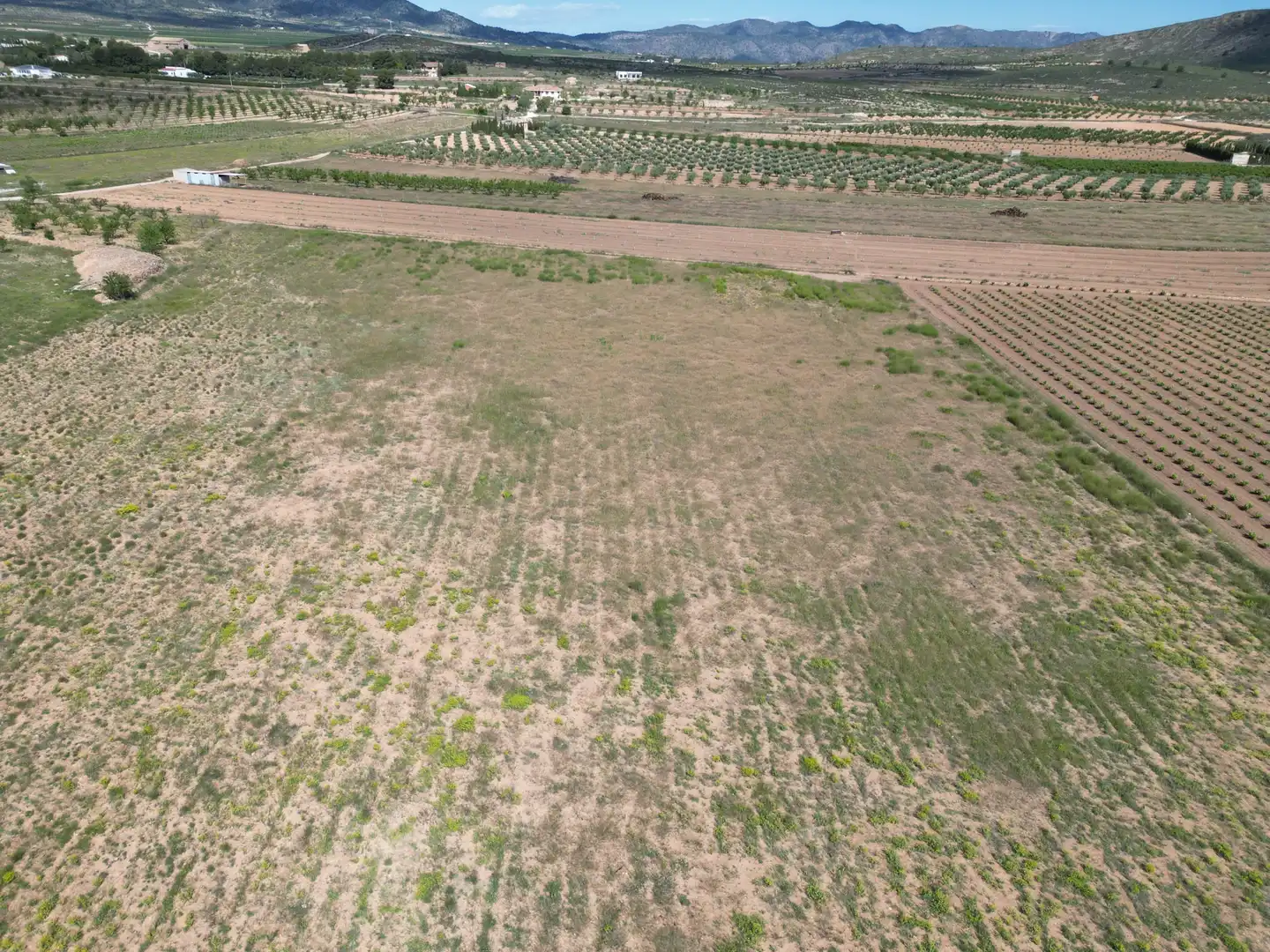 Wohnbaugrundstück zum Verkauf in El Pinós / Pinoso, imagen 6