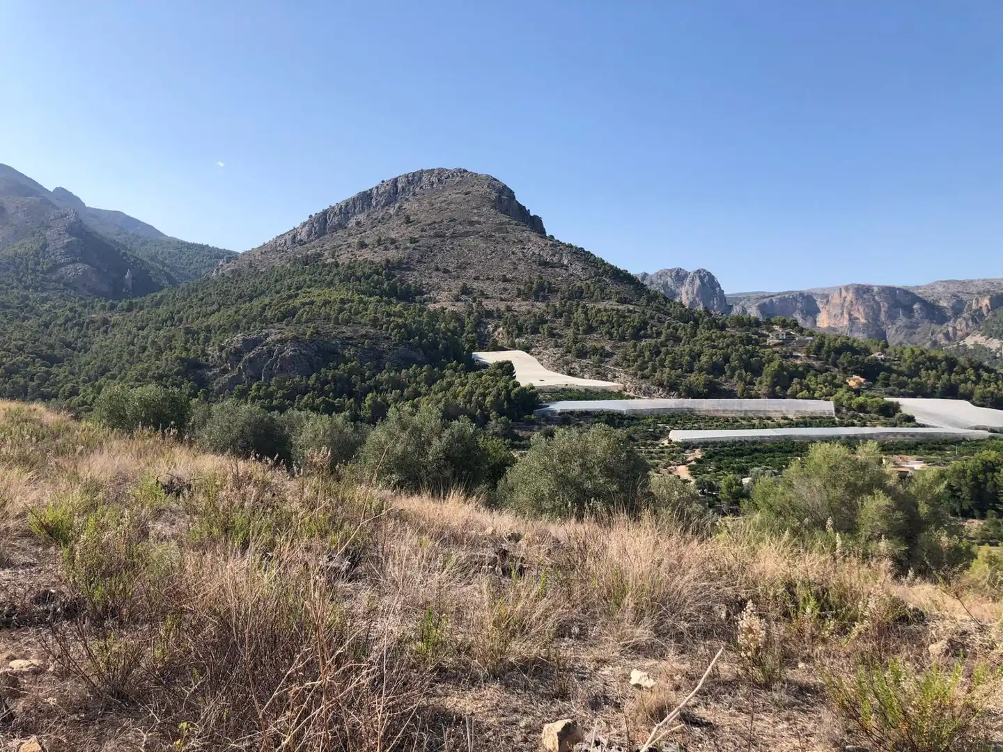 Land for sale in Bolulla