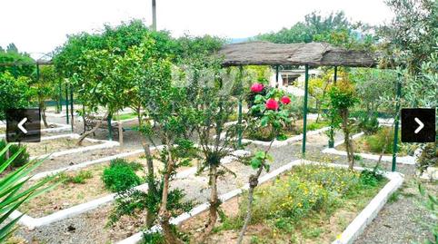 Foto 4 de Finca rústica en venda a Camino Alto de las Atalayas, Llano de Brujas, Murcia
