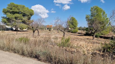 Photo 2 of Residential for sale in  Urbanización Espinal Políg.28, Políg, L'Ametlla de Mar pueblo, Tarragona