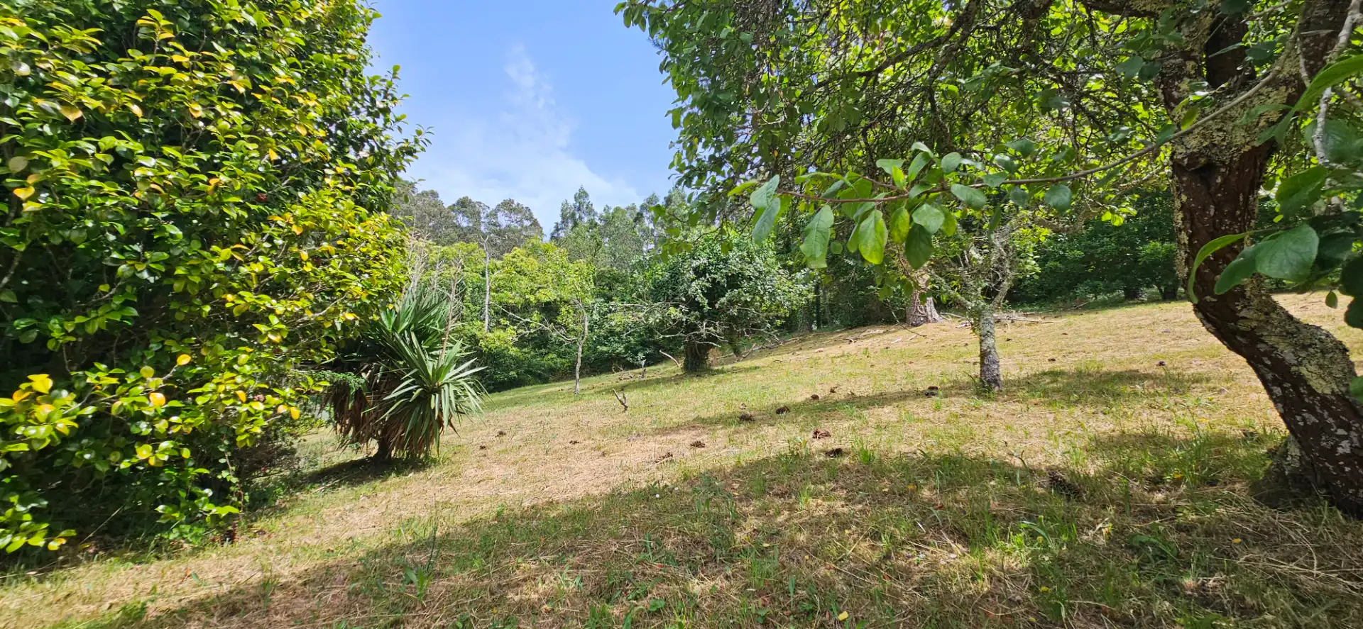 Finca rústica en venda en Ferrol amb Moblat