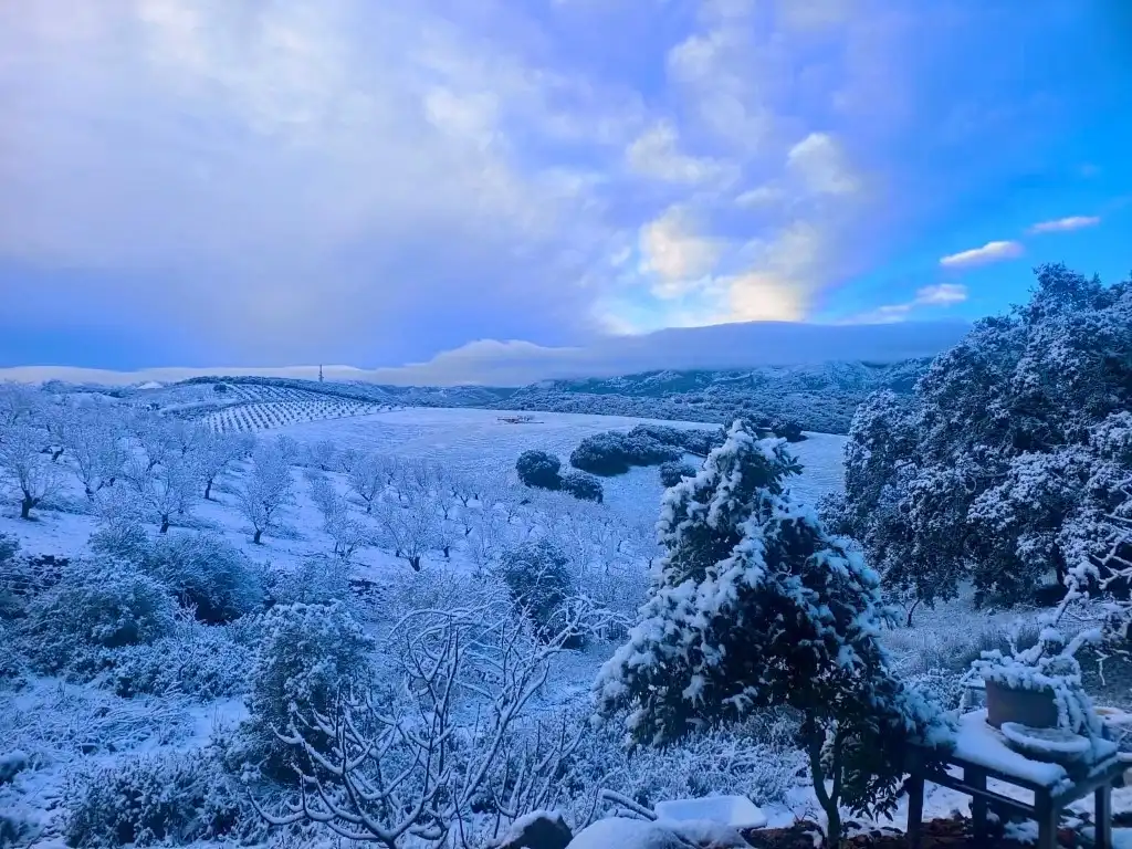 Vista exterior de Casa o chalet en venta en Alhama de Granada