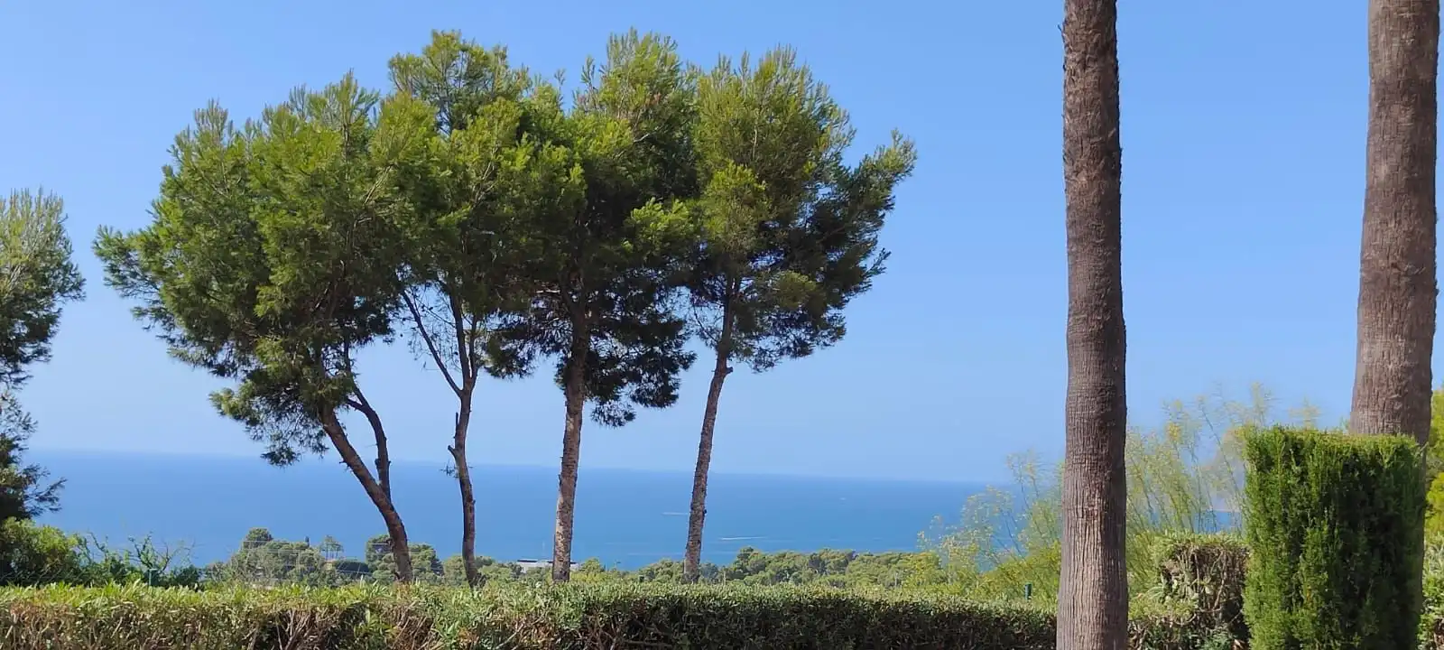 Haus mit Pool zum Verkauf in Residencial Europa 15, imagen 4