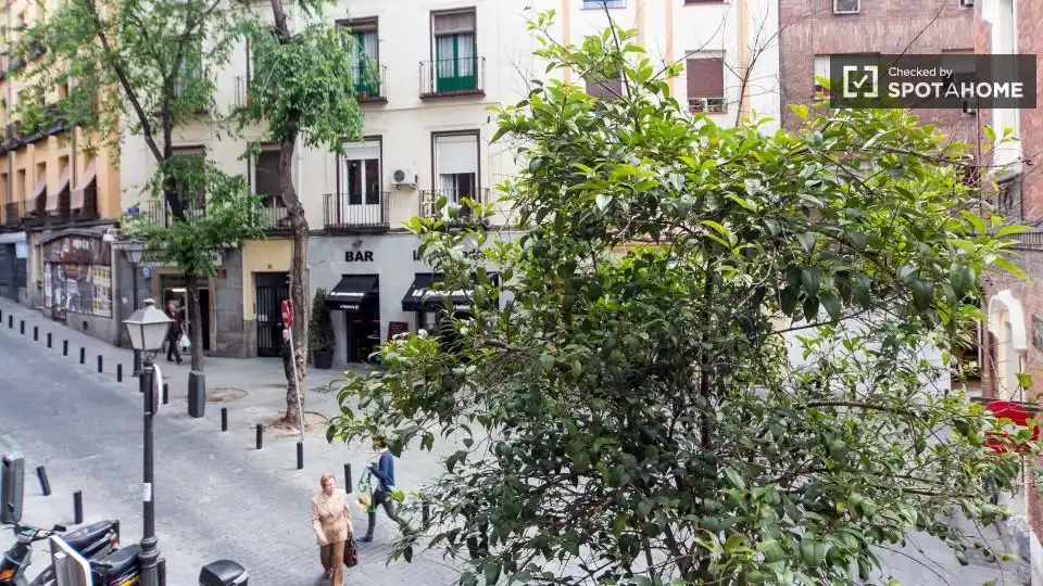 Wohnung mit Terrasse zur Miete in Centro, imagen 14