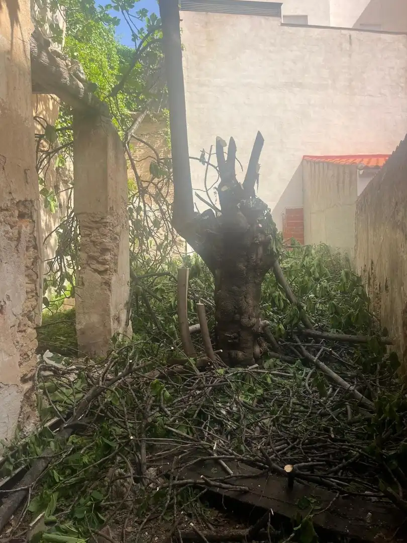 Garten von Einfamilien-Reihenhaus zum Verkauf in Almansa
