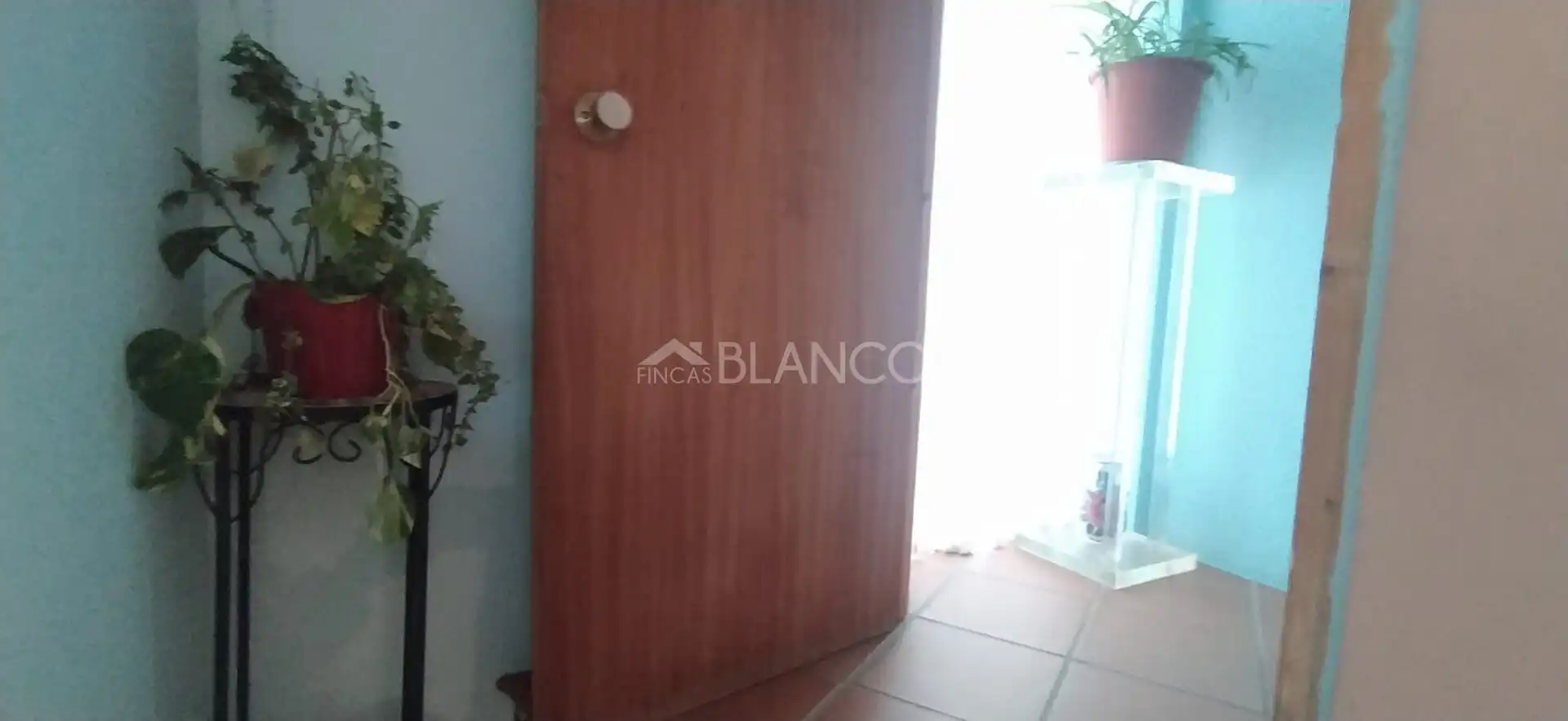 Houses for sale in Piera