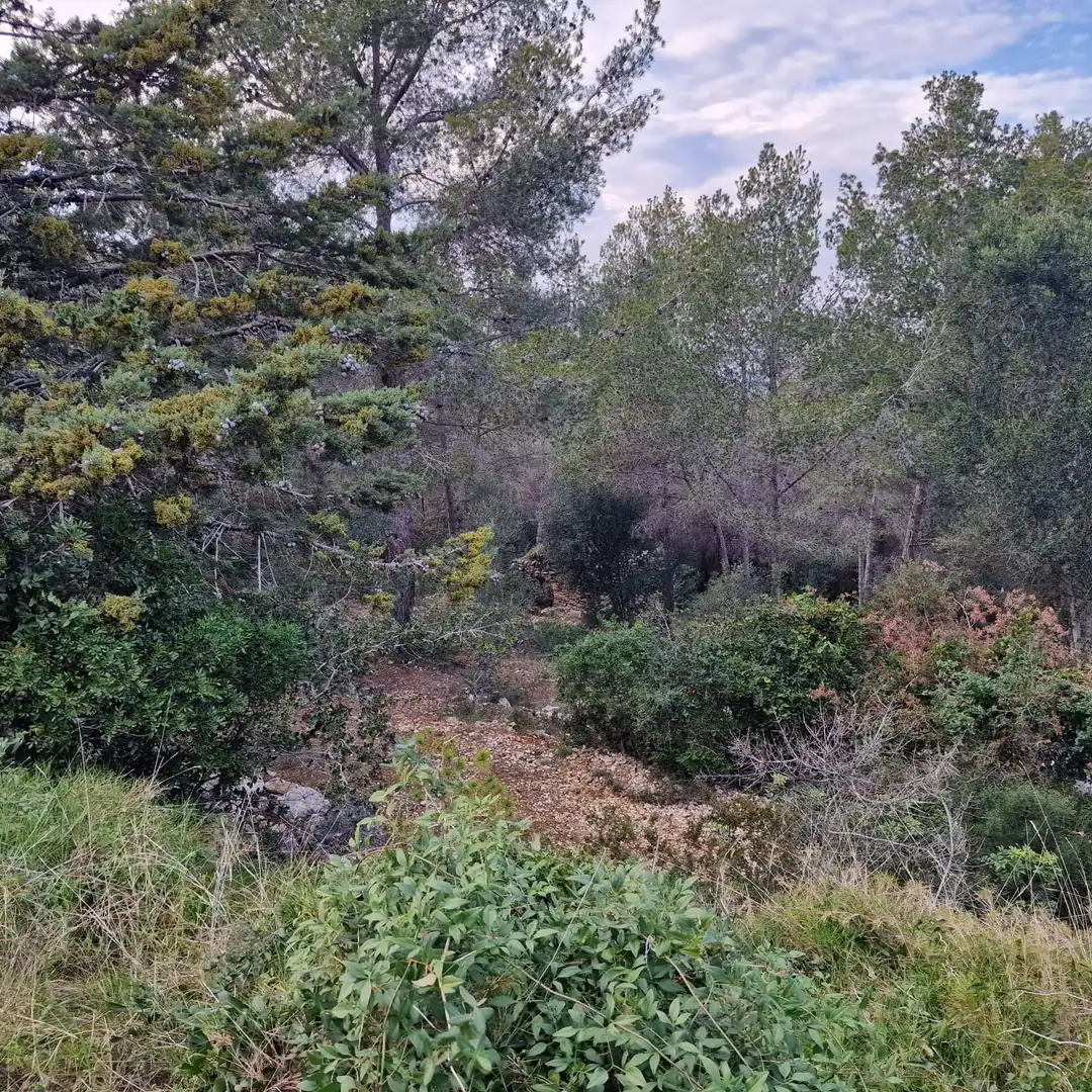 Terreno residencial en venta en Carrer Gessamí 18, imagen 5