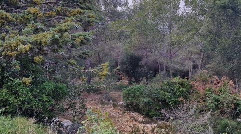 Photo 5 of Residential for sale in Carrer Gessamí, 18, Valldemar - Montmar, Tarragona