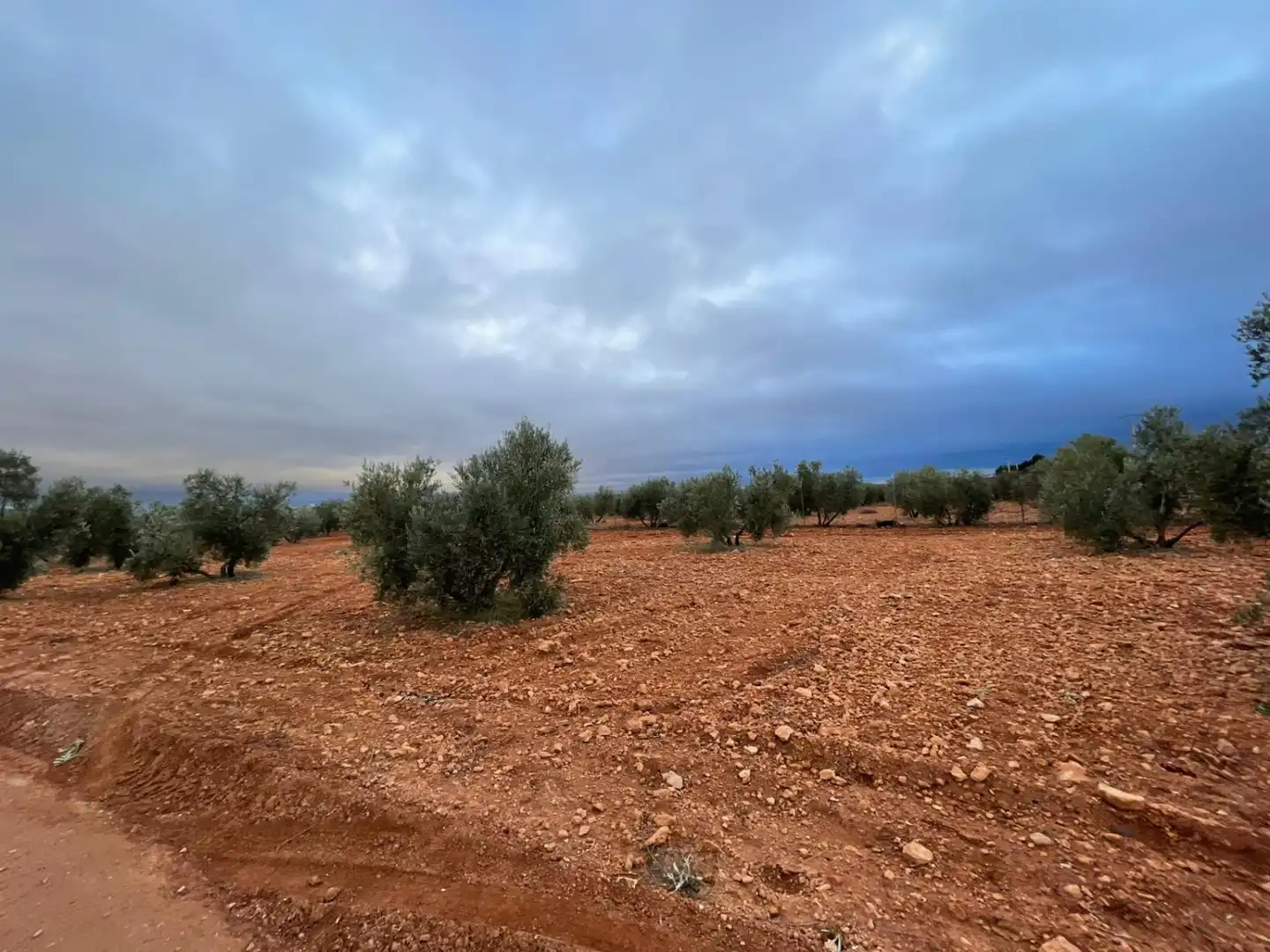 Lands and plots for sale in Valdepeñas, imagen 12