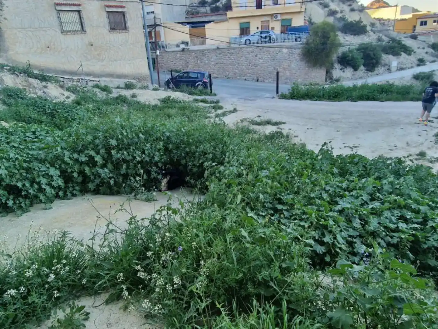 Residencial en venda en Archena