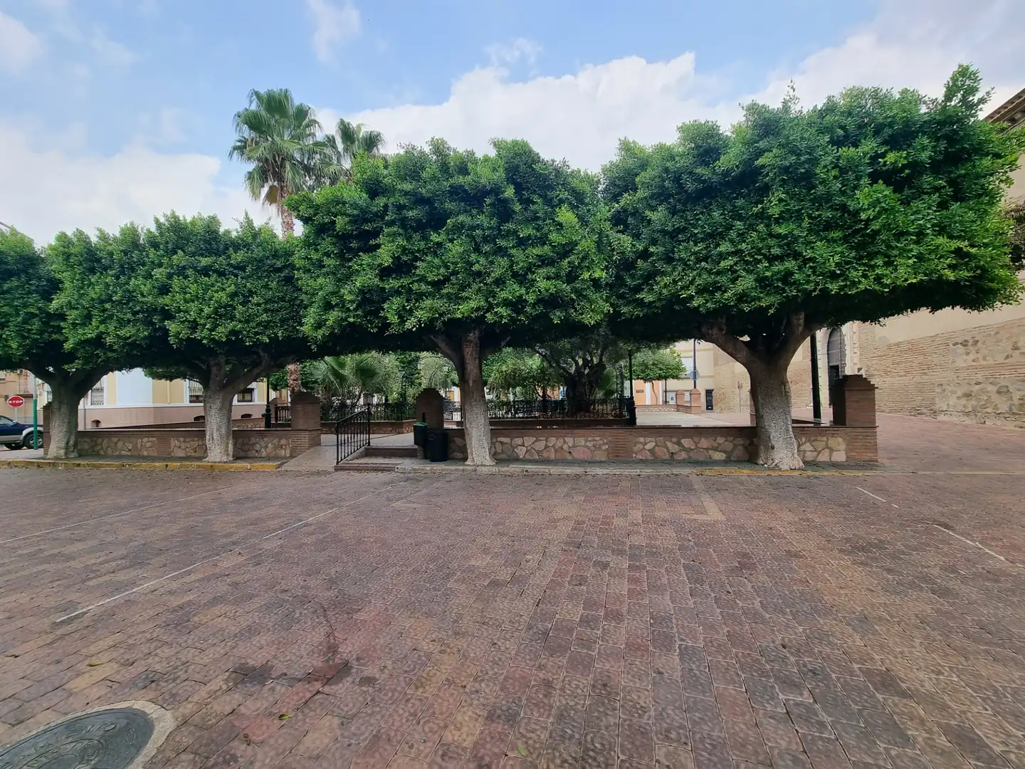 House with terrace for sale in Tabernas, imagen 13