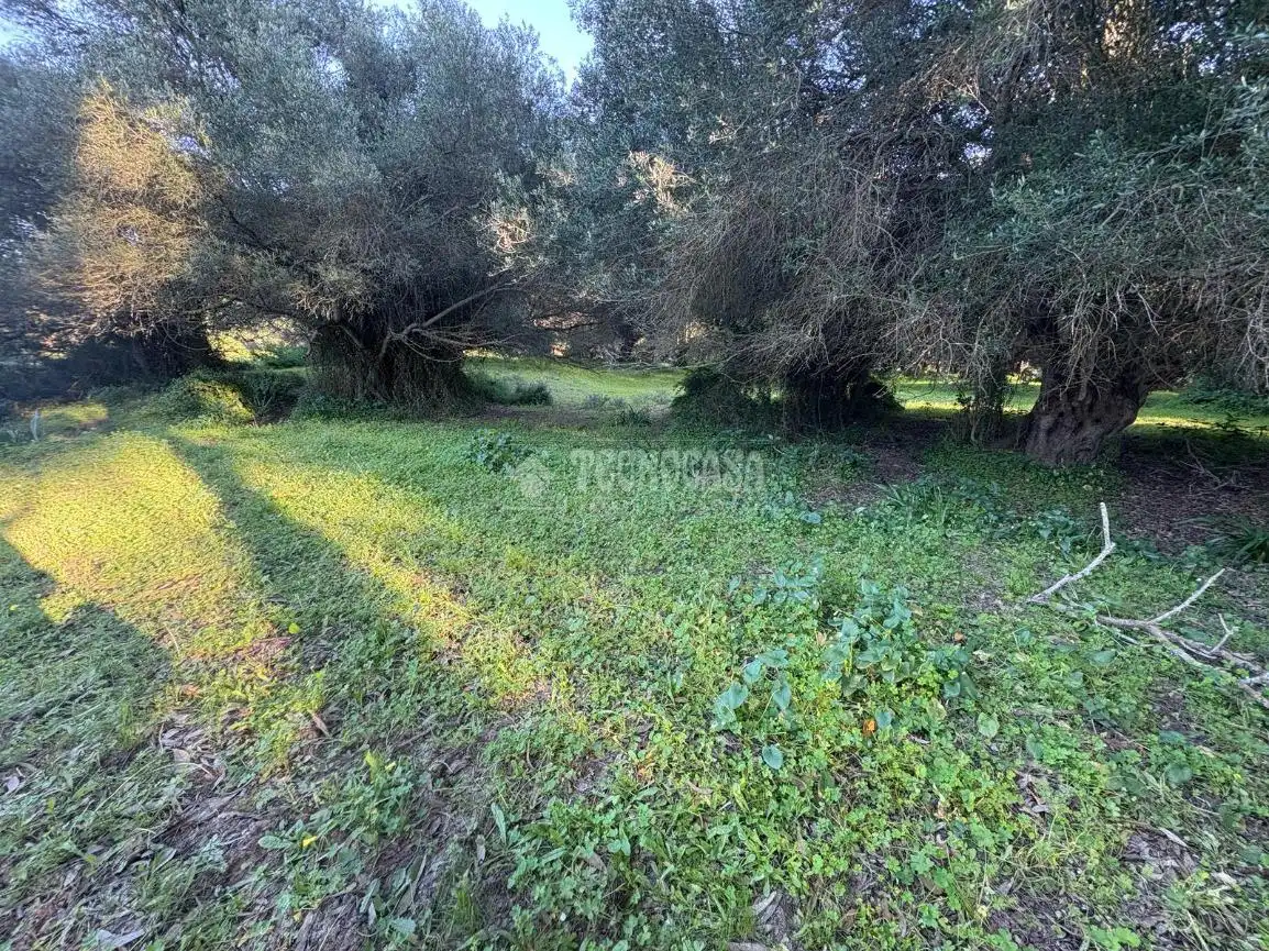 Terreno en venta en Barbate