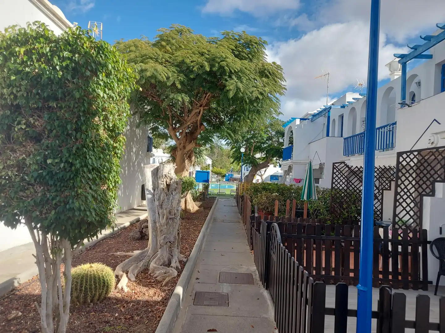 Bungalow avec terrasse à vendre à Avenida Touroperador Neckermann 3, imagen 30
