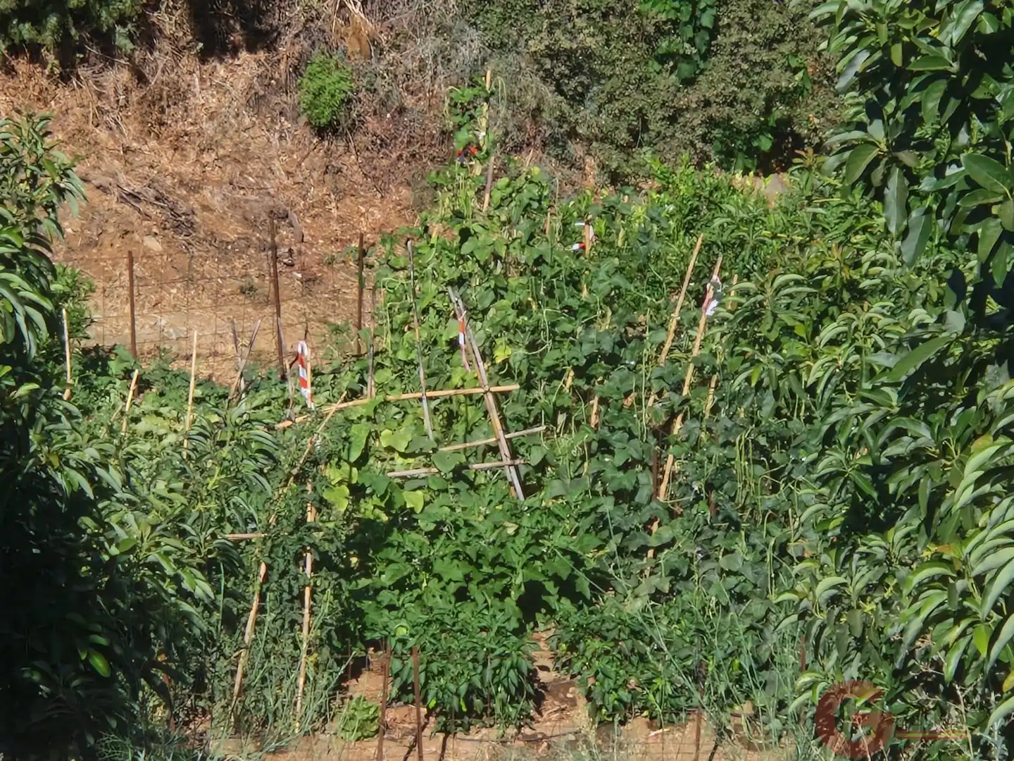 Terreni e lotti in vendita a Ítrabo, imagen 5