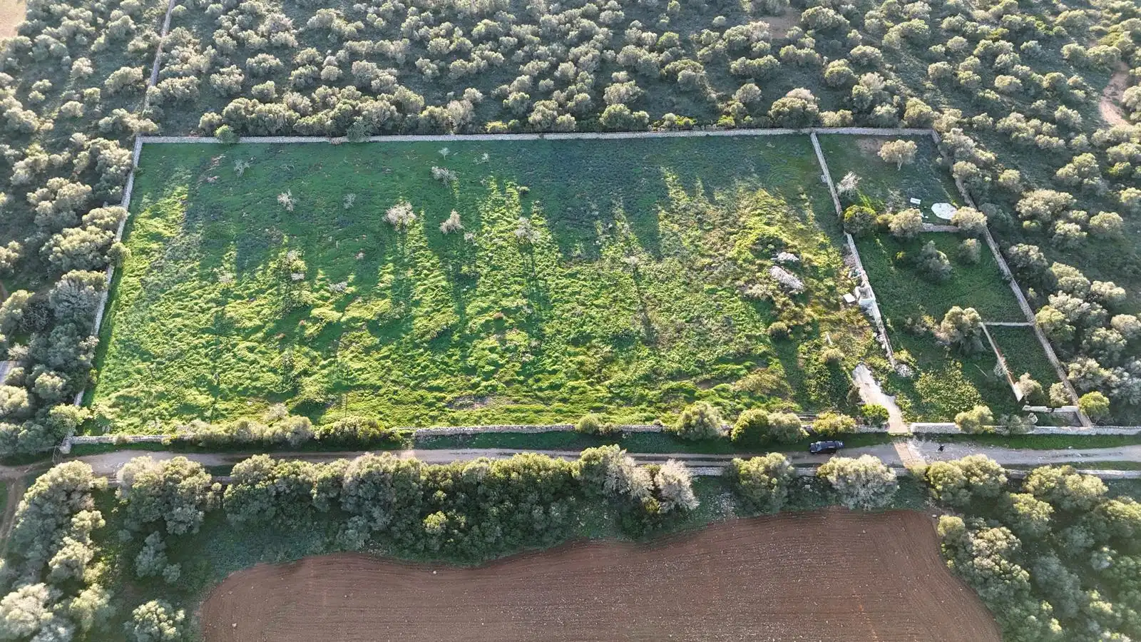 Residencial en venda en Ses Salines