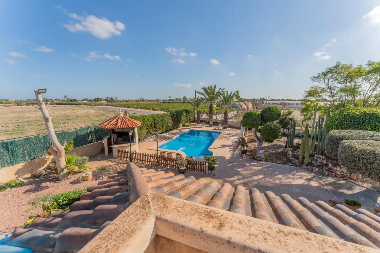 Jardín de Casa o chalet en venta en Elche / Elx con Trastero, Piscina y Balcón