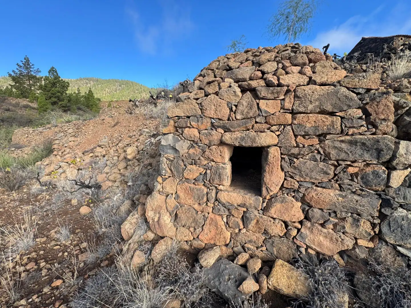 Vista exterior de Finca rústica en venta en Granadilla de Abona