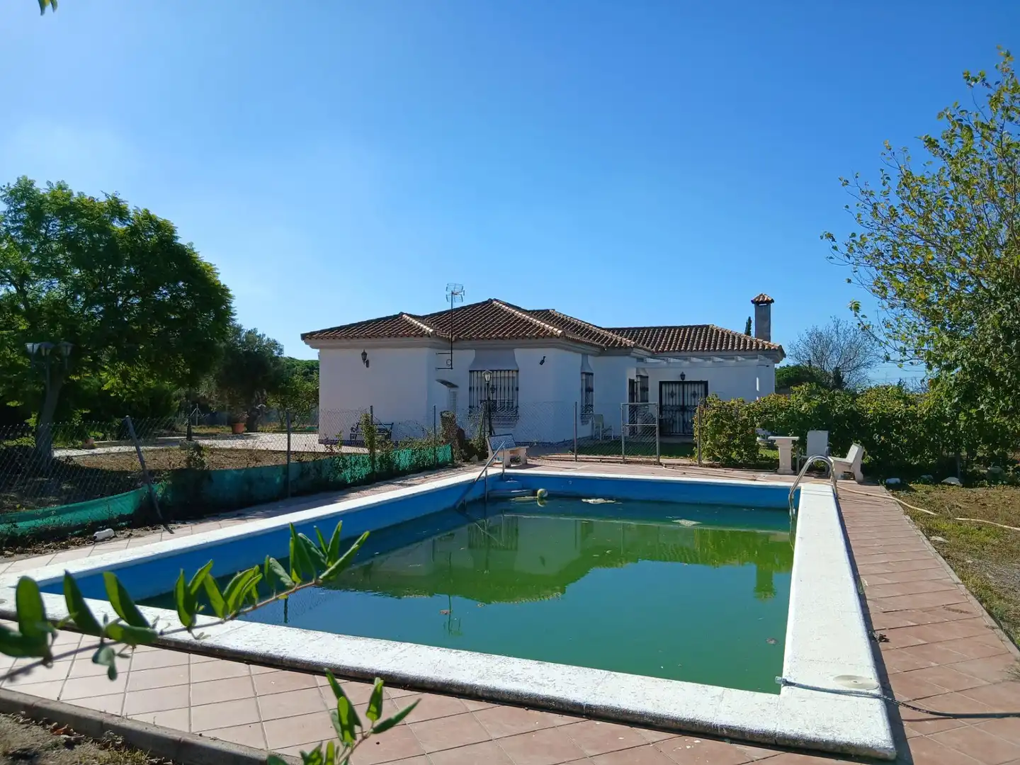 Piscina de Casa o chalet en venta en Puerto Real con Piscina