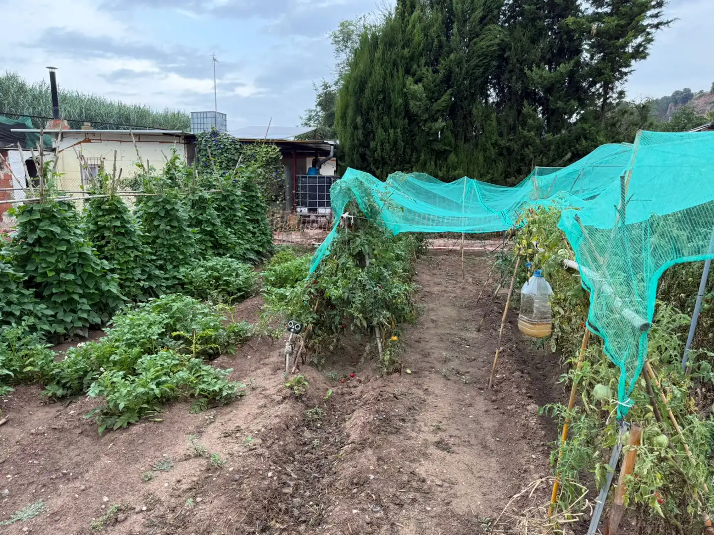 Jardín de Terreno en venta en Sabadell