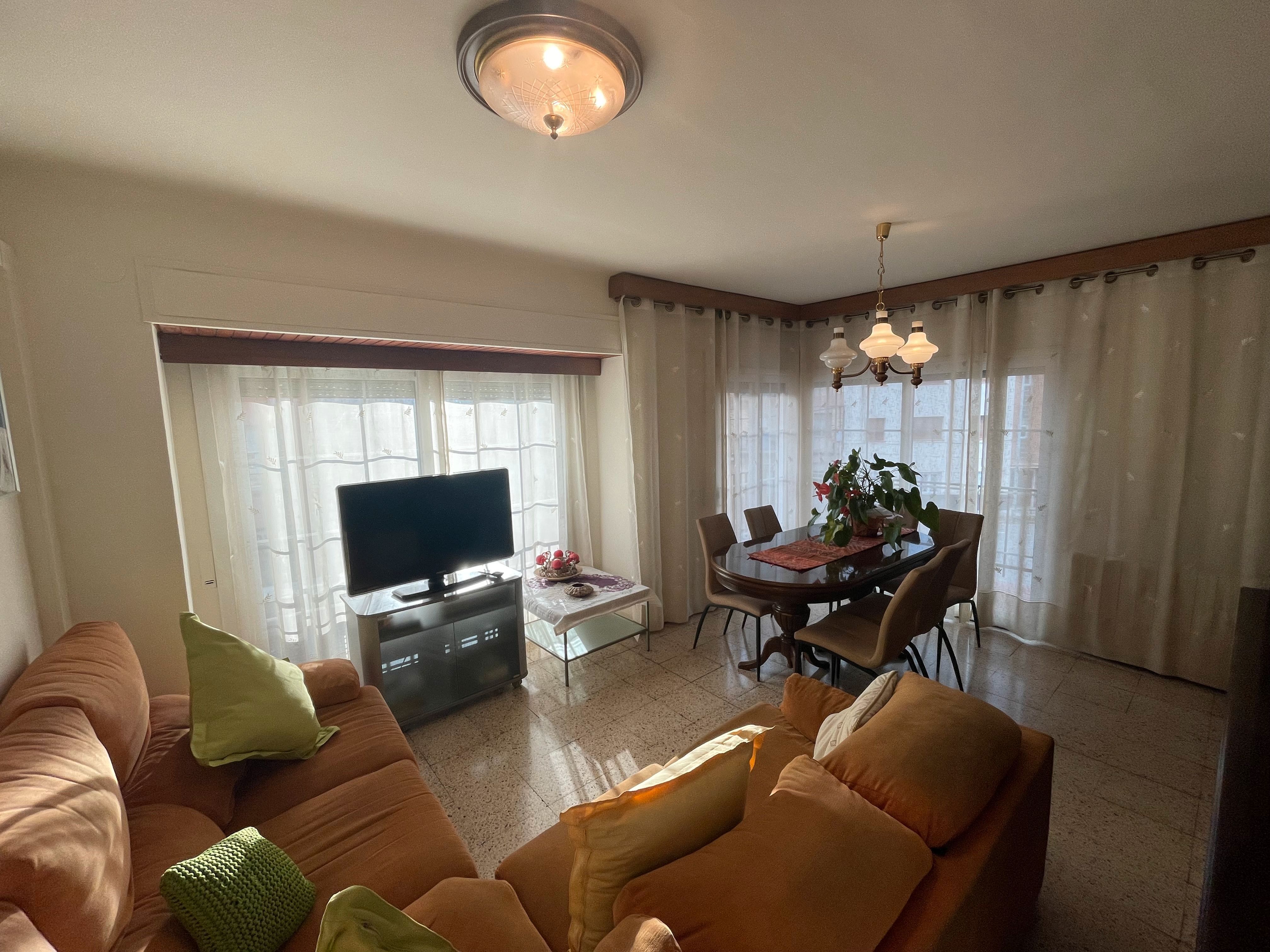 Sala d'estar de Pis en venda en Olot amb Balcó