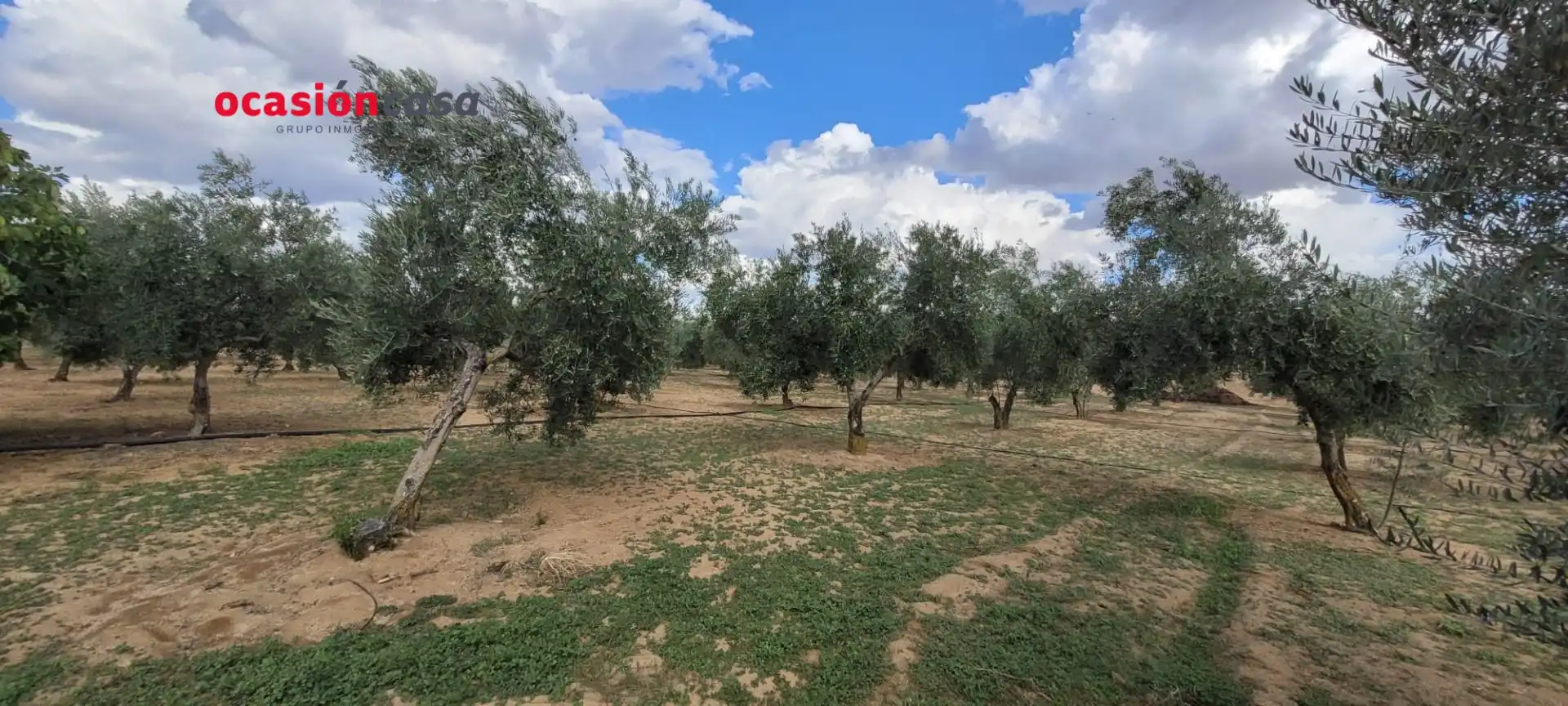 Casa rústica en venta en Alcaracejos, imagen 9