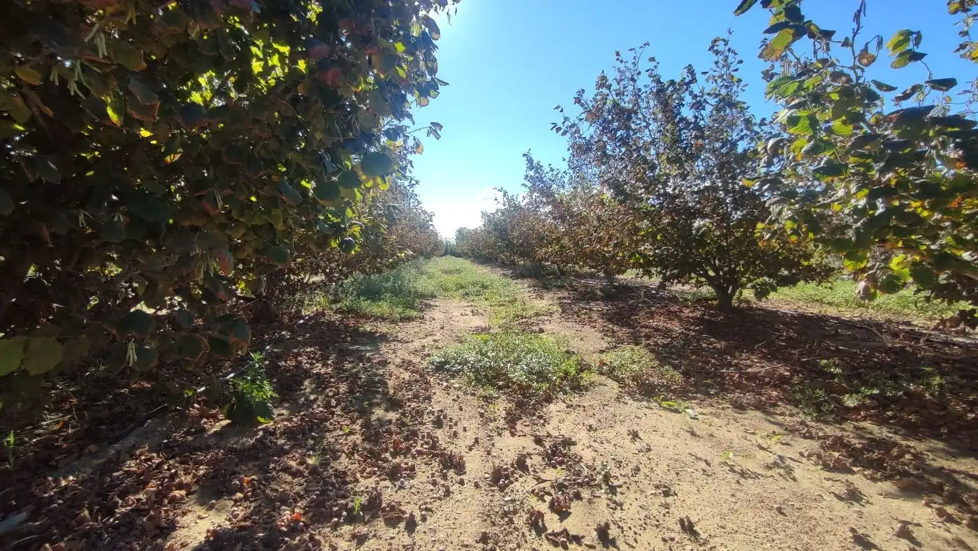 Finca rústica en venda en Constantí amb Jardí privat, Terrassa i Moblat